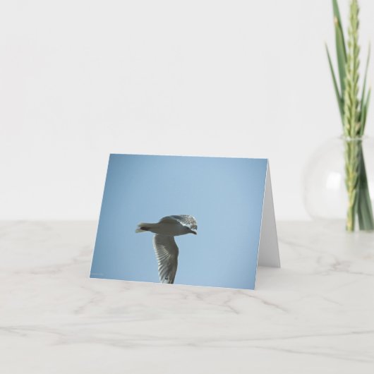 2367 カード (正面)