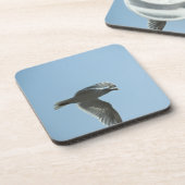 2367 コースター (左側)