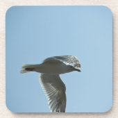 2367 コースター (正面)