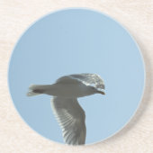 2367 コースター (正面)