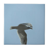 2367 タイル (正面)