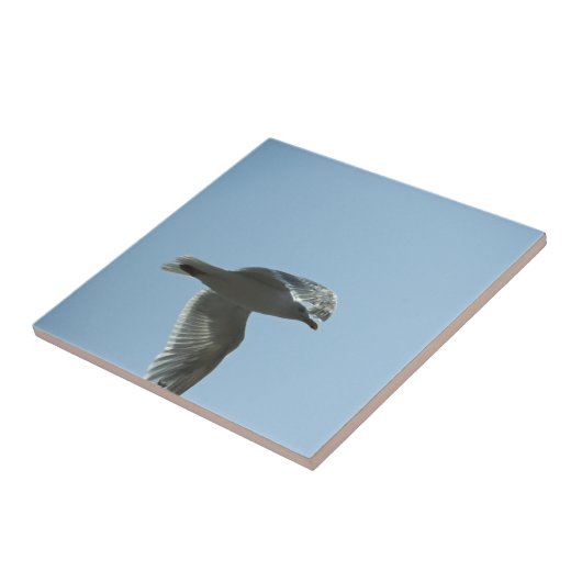 2367 タイル (側面)