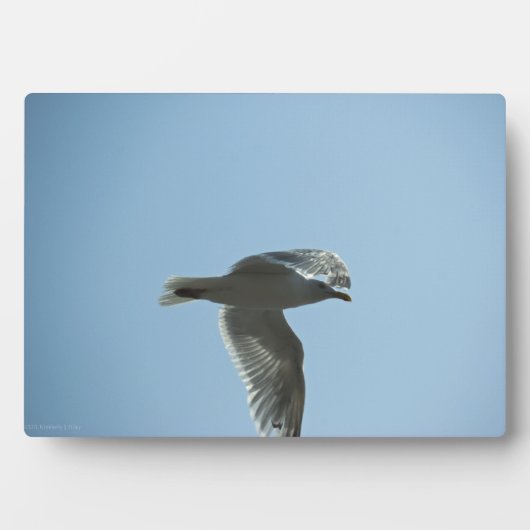 2367 フォトプラーク (正面)