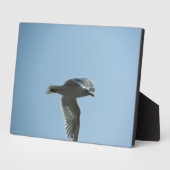 2367 フォトプラーク (側面)