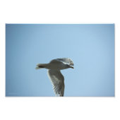 2367 フォトプリント            (正面)