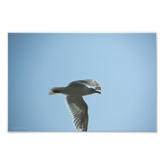 2367 フォトプリント            (正面)