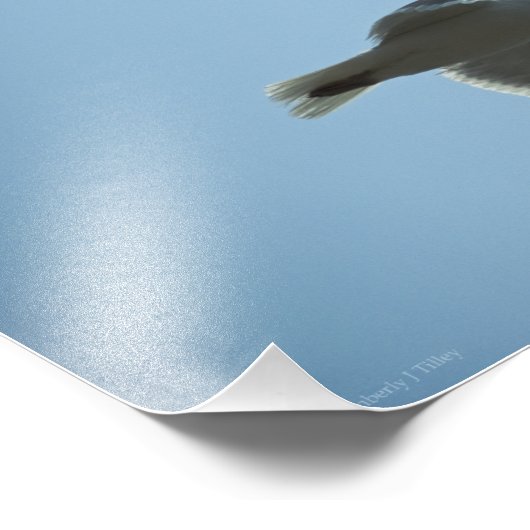 2367 フォトプリント            (角)