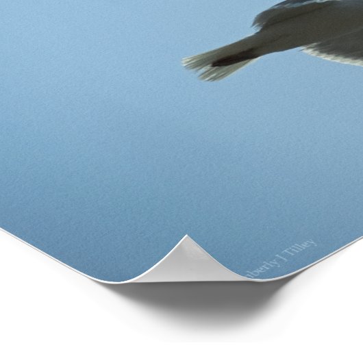 2367 ポスター (角)