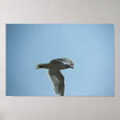 2367 ポスター (正面)