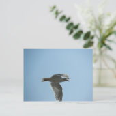 2367 ポストカード (スタンド正面)