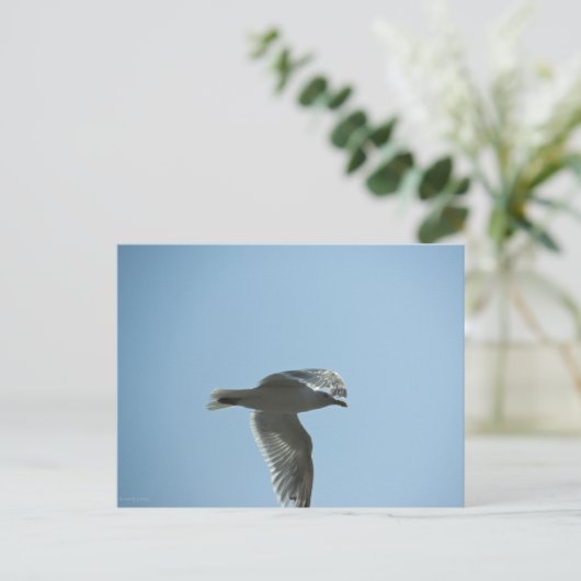 2367 ポストカード (スタンド正面)