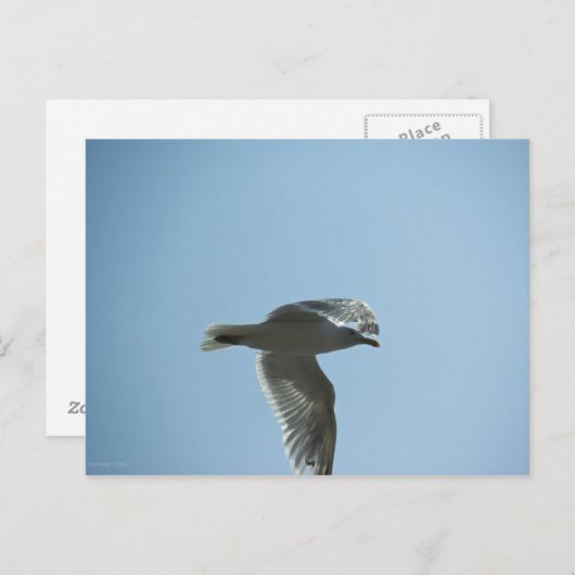 2367 ポストカード (正面/裏面)