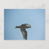 2367 ポストカード (正面)