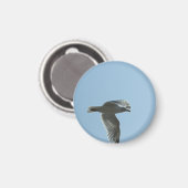 2367 マグネット (正面/裏面)