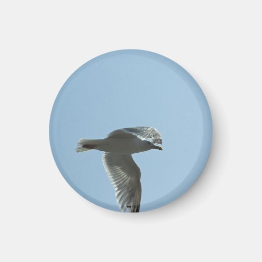 2367 マグネット (正面)