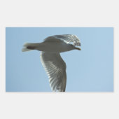 2367 長方形シール (正面)