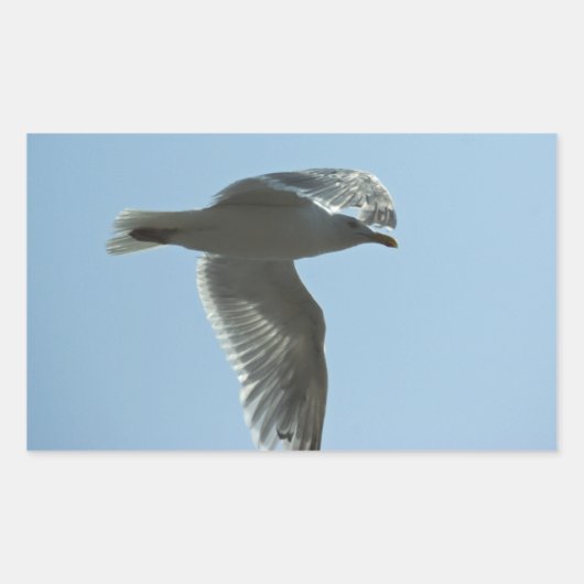 2367 長方形シール (正面)