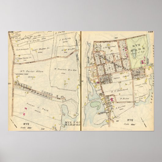 238239ライ麦 ポスター (正面)