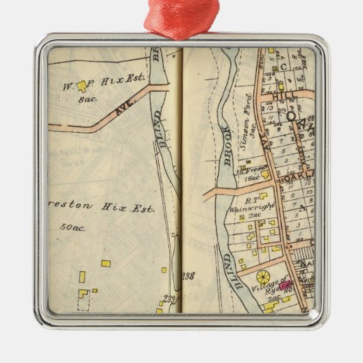 238239ライ メタルオーナメント (正面)