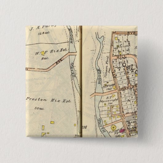 2382.39ライ 缶バッジ (正面)