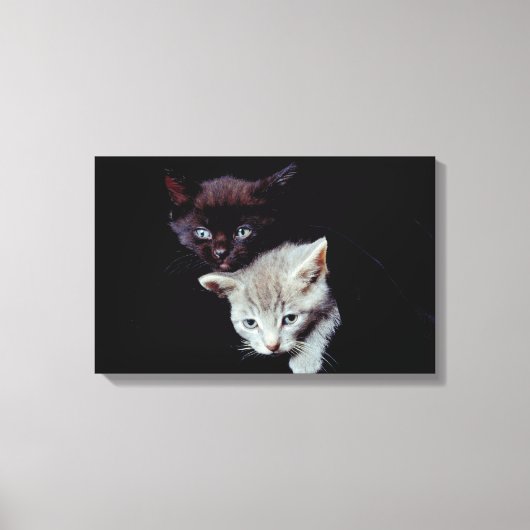 23893007 キャンバスプリント (正面)