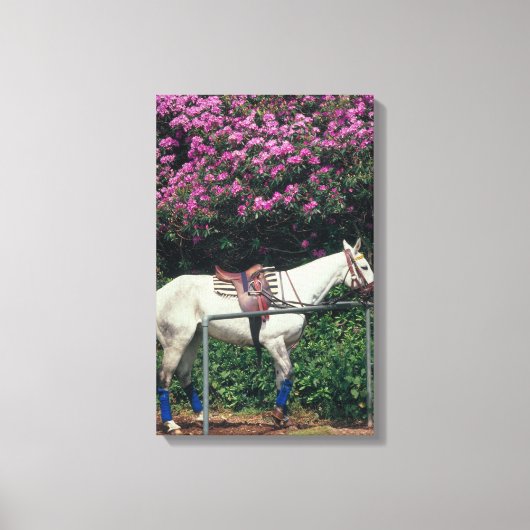 23893981 キャンバスプリント (正面)