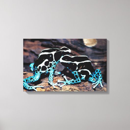 23898179 キャンバスプリント (正面)