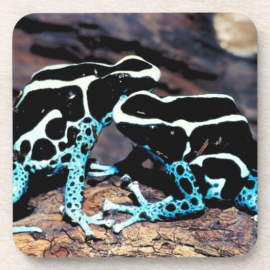 23898179 コースター (正面)