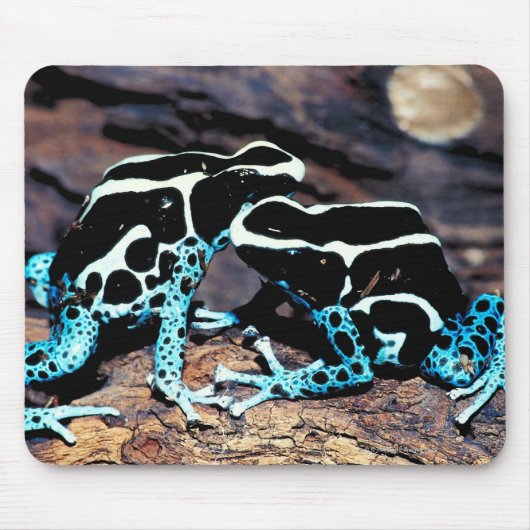 23898179 マウスパッド (正面)