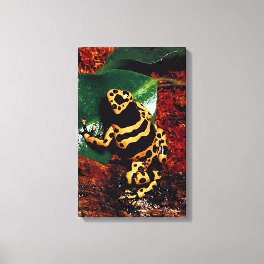 23898189 キャンバスプリント (正面)