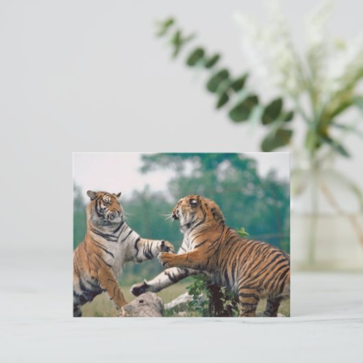 23899157 ポストカード (スタンド正面)