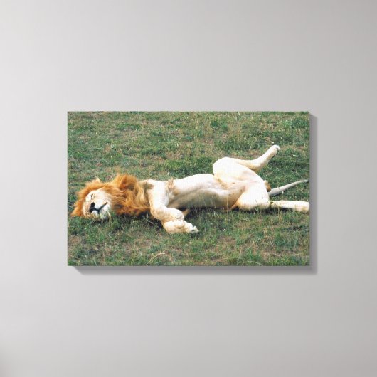 23899172 キャンバスプリント (正面)