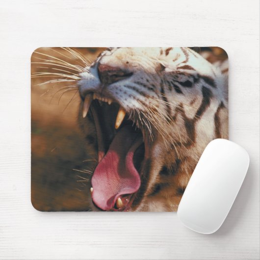 23899234 マウスパッド (マウス)