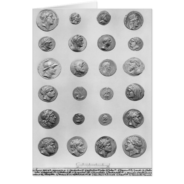 24の硬貨 (正面)