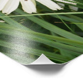 24インチx36インチコンフォローア フォトプリント            (角)