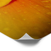 24インチx 24インチ、バリューポスター紙(マット) ポスター (角)