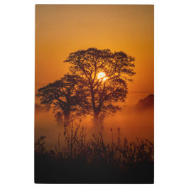24インチx 36インチツリー&サンセットメタルウォールアート メタルプリント