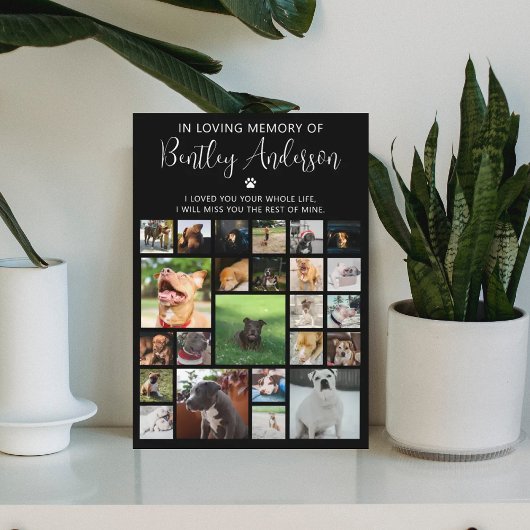 24パーソナライズされたフォトペット記念 フォトプラーク