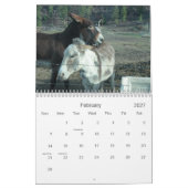 24ヶ月ダーリングドンキーカレンダー カレンダー (2月 2027)