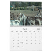 24ヶ月ダーリングドンキーカレンダー カレンダー (3月 2026)