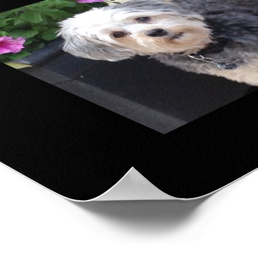 24写真テンプレートコラージュとカスタム文字 ポスター (角)