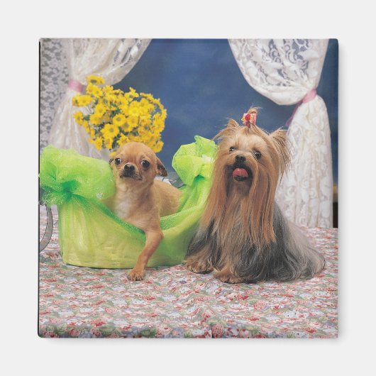 24095240 マグネット (正面)