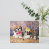 24095243 ポストカード (スタンド正面)