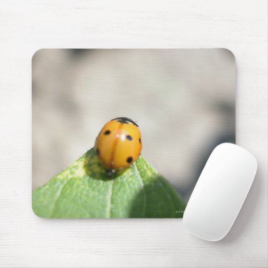 24102386 マウスパッド (マウス)