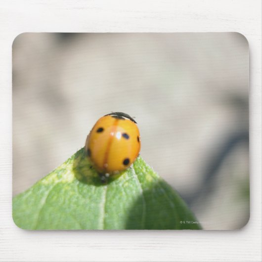 24102386 マウスパッド (正面)