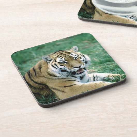 24103189 コースター (左側)