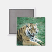 24103189 マグネット (正面/裏面)