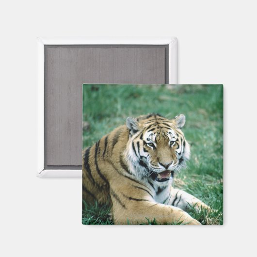 24103189 マグネット (正面/裏面)