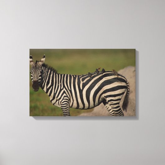 24109277 キャンバスプリント (正面)