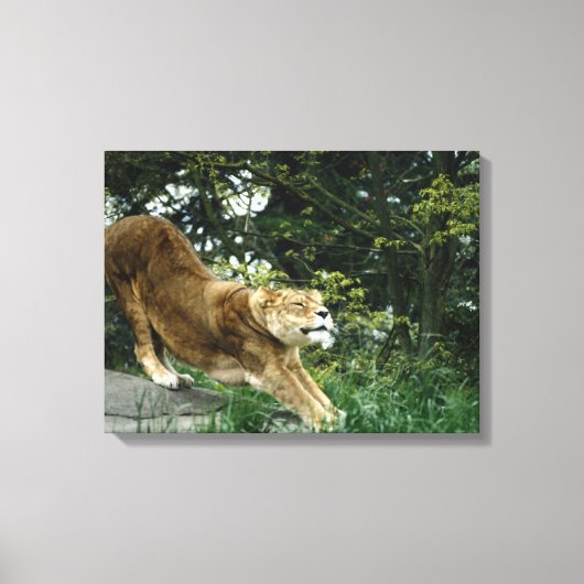 24114343 キャンバスプリント (正面)